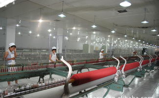 高檔精品時(shí)尚品牌羊絨衫誠(chéng)招代理加盟，廠家直供，優(yōu)價(jià)共贏